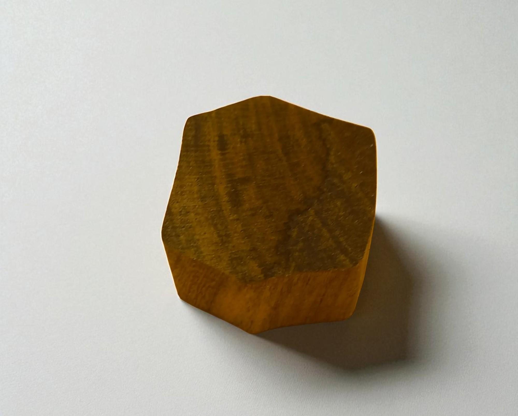 Fat Beetle hand carved Indian wood printing block; textile stamp; pottery stamp,