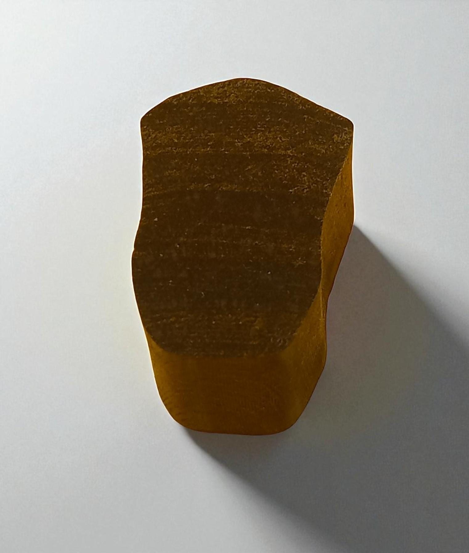 Silent Beetle  hand carved Indian wood printing block; textile stamp; pottery stamp,