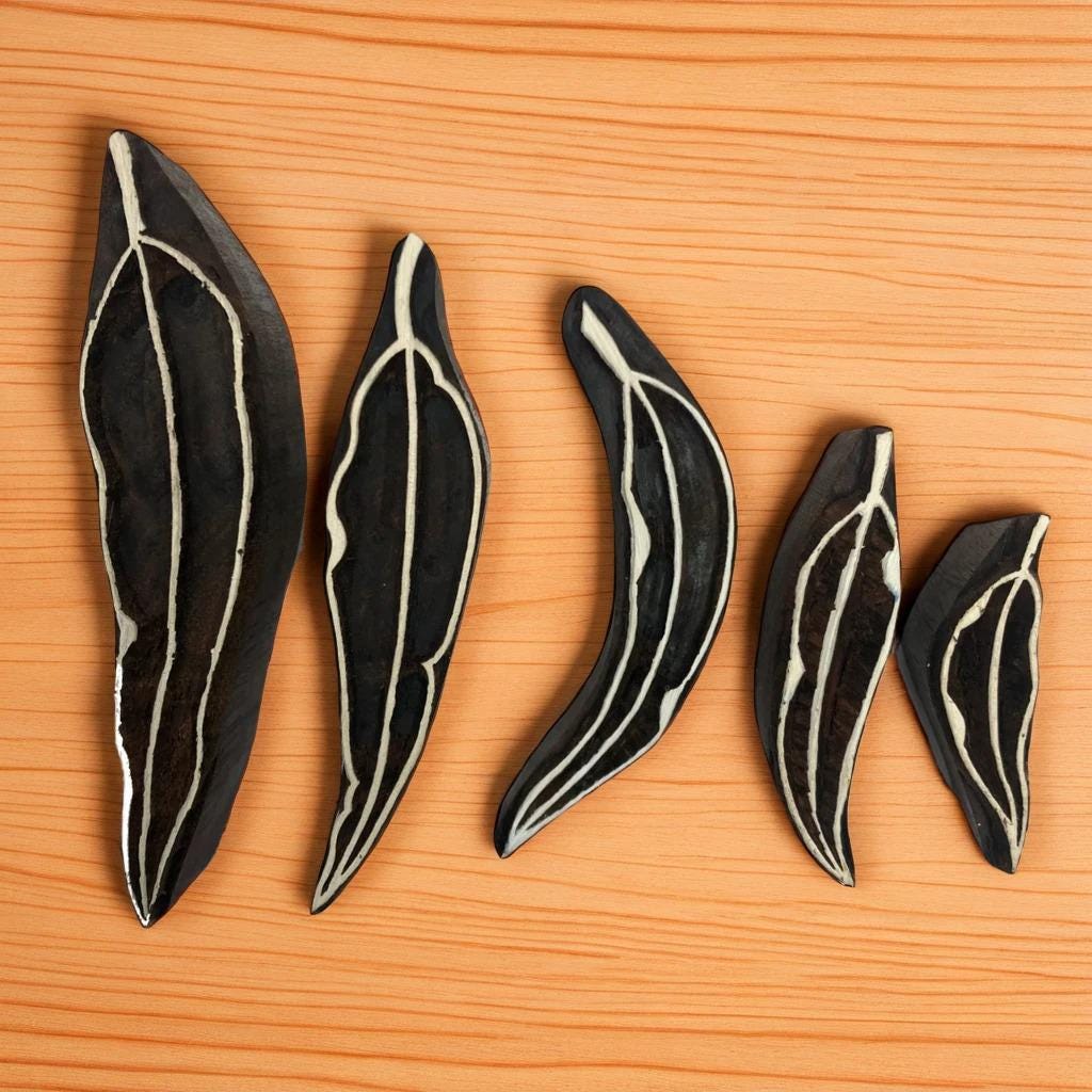 Eucalyptus Leaves Set x5