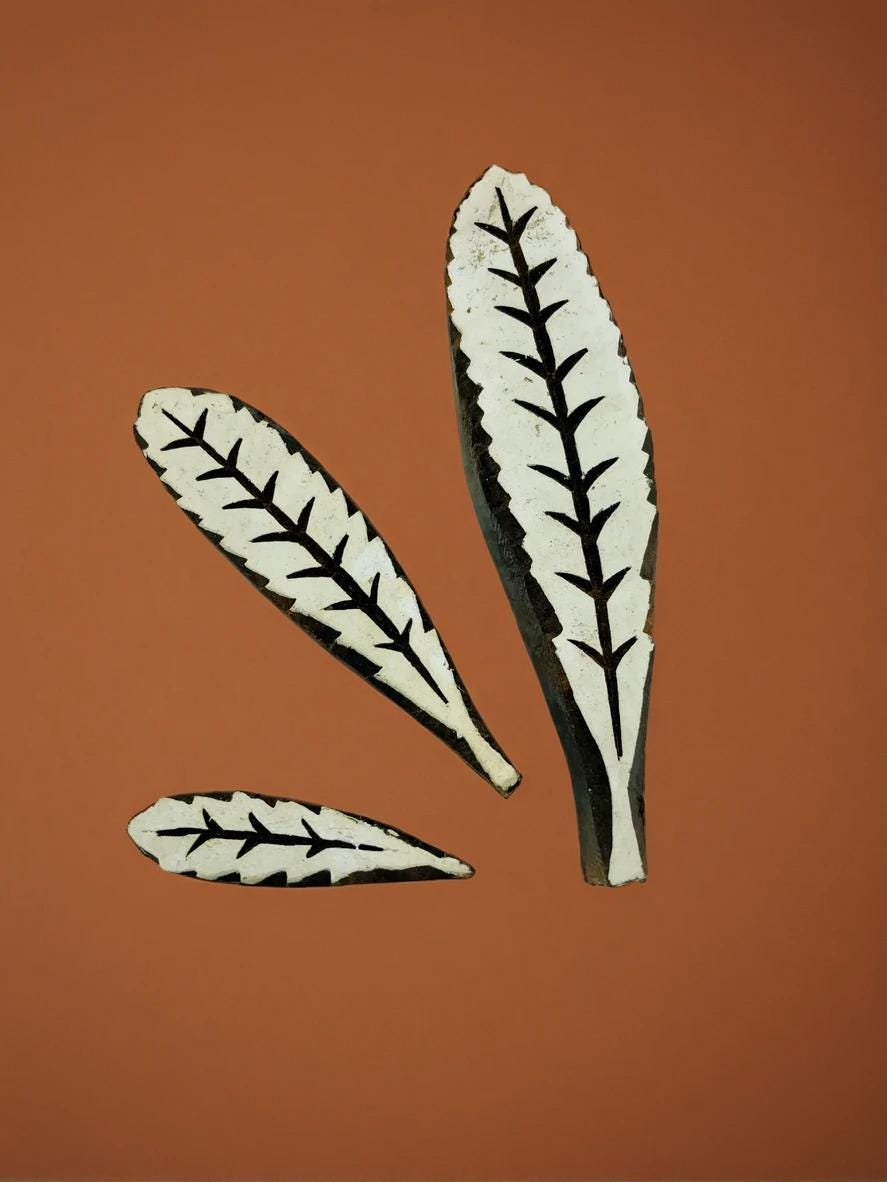 Banksia Serrata Leaves Set